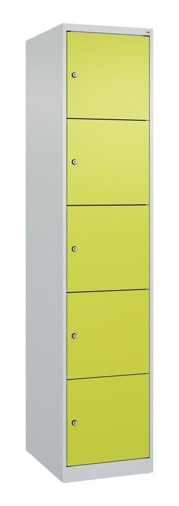 Lichtgrau RAL 7035/Clowngrün RAL 1108080 