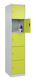 Lichtgrau RAL 7035/Clowngrün RAL 1108080 